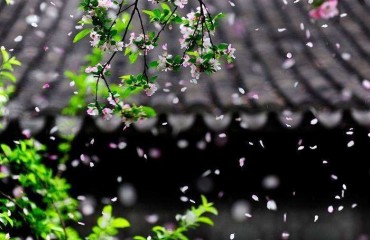 最美的不是下雨天，而是我为你安装过的幕墙屋檐